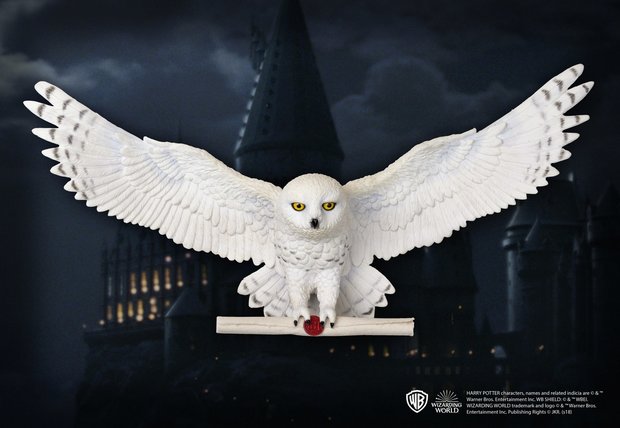 Harry Potter: Hedwig Owl Post Wall Décor